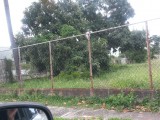 hope road, Kingston / St. Andrew, Jamaica - House for Lease/rental